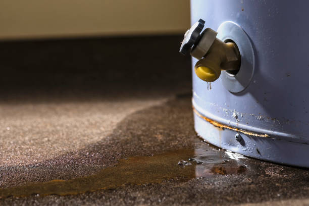  Lake Dunlap, TX Water damage restoration Pros