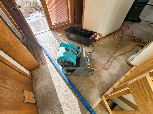 Best Residential water damage restoration  in Lake Dunlap, TX