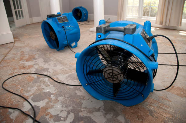 Best Local water damage restoration  in Lake Dunlap, TX