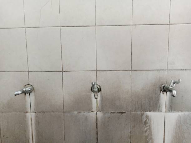Best Flood restoration services  in Lake Dunlap, TX