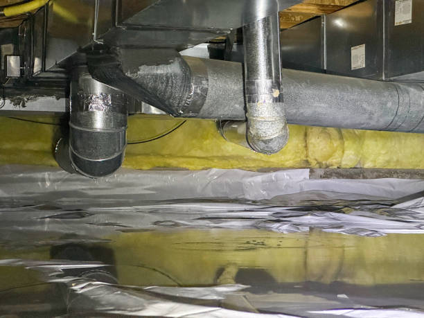 Best Flood damage cleanup  in Lake Dunlap, TX