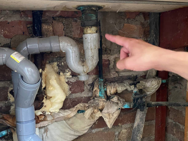 Best Professional water damage repair  in Lake Dunlap, TX