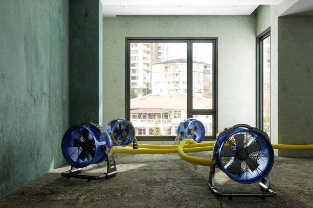 Best Water damage restoration near me  in Lake Dunlap, TX